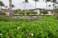 Beach Club Maui