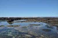 Spaziergang durch den Puuhonua O Honaunau National Historical Park
