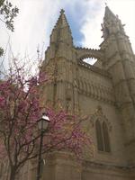 Kathedrale Seu