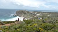 Wanderung am Kap der Guten Hoffnung
