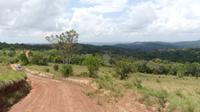 Shimba Hills