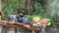 Praslin, Vallee de Mai