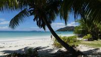Praslin, Anse Volbert