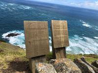 Tagesausflug Cape Reinga Neuseeland 