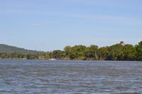 Bootsfahrt auf dem Daintree River (5)