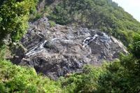 Regenwald bei Kuranda (10)