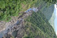 Regenwald bei Kuranda (12)