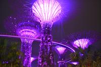 Singapur bei Nacht  (10)