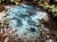 Maori Abend Neuseeland 