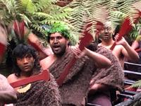 Maori Abend Neuseeland 