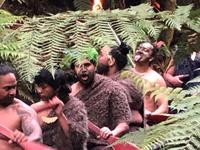 Maori Abend Neuseeland 