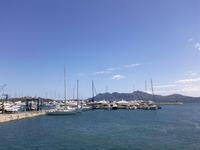 Pollenca
