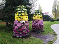 Swinemünde Blumenschmuck