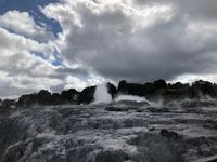 Te Puia Neuseeland 