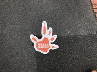 Wellington Neuseeland 