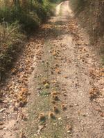 fast unberührte Wege