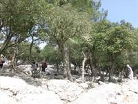 Wanderung um Valledemossa