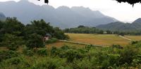 Blick der Terrasse der Mai Chau Ecolodge auf Reisfelder