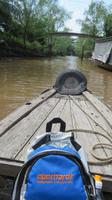 Mekong Delta, kleine Fahrt durch die Sümpfe