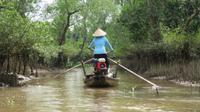 Mekong Delta, kleine Fahrt durch die Sümpfe