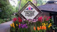 Orchideengarten Singapur