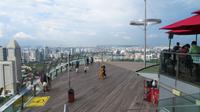 Skypark Marina Bay Sands, Singapur