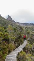 Cradle Mountain Nationalpark, Tasmanien