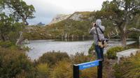Cradle Mountain Nationalpark, Tasmanien