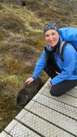 Begegnung mit Wombats, Tasmanien