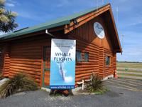 Wingsoverwhales Neuseeland