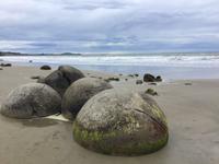 Moeraki Boulders - Neuseeland