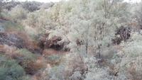 altes Jordan-Bett