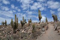 Pucará de Tilcara 2