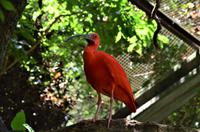 Vogelpark 7