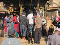 Opferritual in Bakhtapur