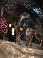 Dubai Museum