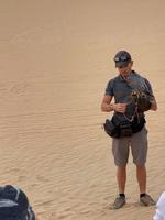 Falkenshow bei der Wüstensafari