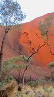 Ayers Rock / Uluru