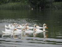 Familienausflug