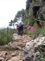 Wanderung nach Soller (2)