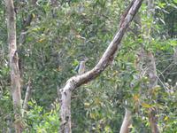 Tra Su Nationalpark