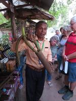 Palmzuckerherstellung