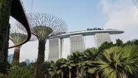 Singapur, Gardens by the Bay, Super Trees und Hotel Marina Bay Sands