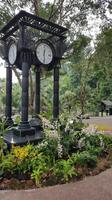Singapur, Orchideengarten