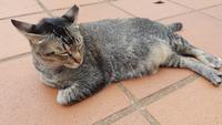 Malaysia, Melaka, 