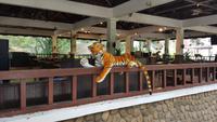 Malaysia, Mutiara Taman Negara Resort, Restaurant mit 