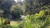 Malaysia, Cameron Highlands, Wanderung