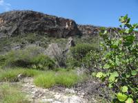 Die Trockenzone um Imias