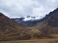 Altiplano auf der Fahrt nach Puno
