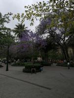 Santiago de Chile